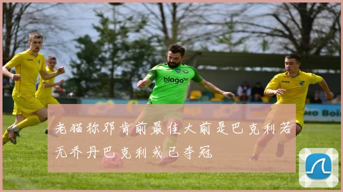 老猫称邓肯前最佳大前是巴克利若无乔丹巴克利或已夺冠